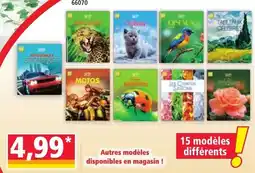 Norma COLONA offre