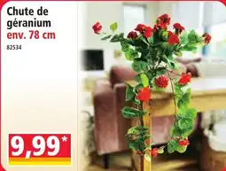 Norma Chute de géranium offre