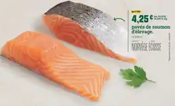 Fresh pavés de saumon d'élevage offre
