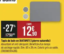 Bricorama Tapis de bain en DIATOMITE offre