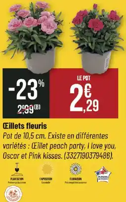 Bricorama Œillets fleuris offre