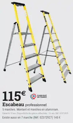 Espace emeraude Escabeau professionnel offre