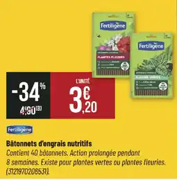 Bricorama Fertiligene Bâtonnets d'engrais nutritifs offre