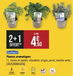 Bricorama JARDIBEST Plantes aromatiques offre