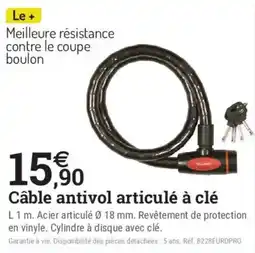 Espace emeraude Câble antivol articulé à clé offre