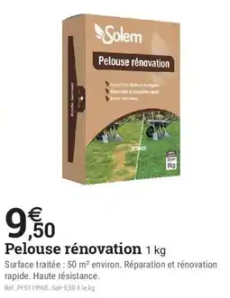 Espace emeraude Solem Pelouse rénovation offre