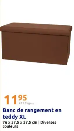 Action Banc de rangement en teddy XL offre