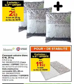 Castorama Bloom concassé calcaire blanc 6-16 offre