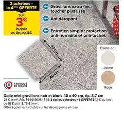Castorama Dalle mini gravillons noir et blanc 40 x 40 cm, ép. 3,7 cm offre
