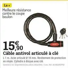 Espace emeraude Câble antivol articulé à clé offre