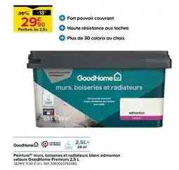 Castorama Goodhome - peinture murs offre