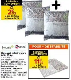 Castorama Blooma - concassé calcaire blanc offre