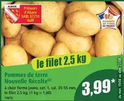 Norma Cat - pommes de terre nouvelle récolte offre