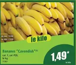 Norma Dim - bananes cavendish offre