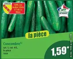 Norma Cat - concombre offre