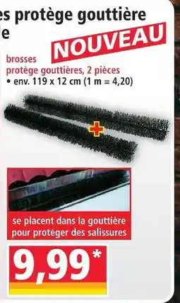Norma Brosses protège gouttières, 2 pièces offre