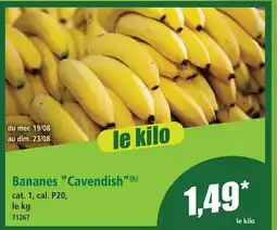 Norma Bananes “cavendish” offre