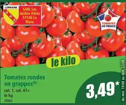 Norma Tomates rondes en grappes offre