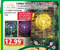 Norma I-glow lampe solaire à led pissenlit offre