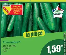 Norma Concombre offre