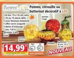Norma Flower i-glow pomme, citrouille ou butternut décoratif à led offre
