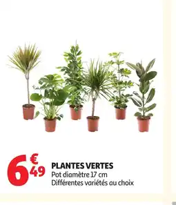 Auchan Plantes vertes offre