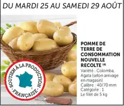 Super U POMME DE TERRE DE CONSOMMATION NOUVELLE RECOLTE offre