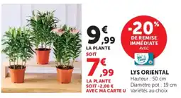 Hyper U LYS ORIENTAL offre