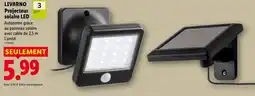 Lidl LIVARNO Projecteur solaire LED offre