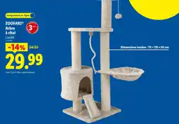 Lidl ZOOOFARI Arbre à chat offre