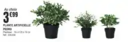 La Foir'Fouille PEDRO PLANTE ARTIFICIELLE offre