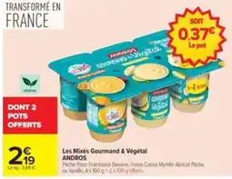 Carrefour Drive ANDROS Les Mixés Gourmand & Végétal offre