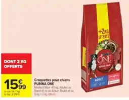 Carrefour Drive PURINA ONE Croquettes pour chiens offre