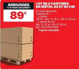 Brico Dépôt LOT DE 2 CANTINES EN MÉTAL offre