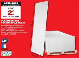 Brico Dépôt PLAQUE BA13 NF offre