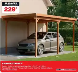 Brico Dépôt CARPORT 3X5 M offre