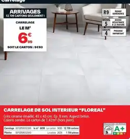 Brico Dépôt FLOREAL Carrelage offre