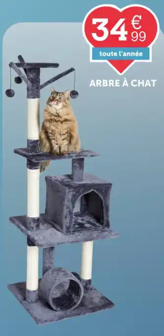Arbre à chat