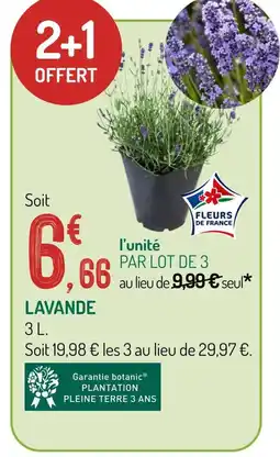 Botanic Lavande offre