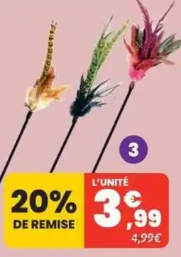 Animalis Feutres offre