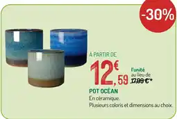 Botanic Pot océan offre
