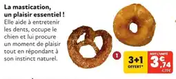 Animalis La mastication un plaisir essentiel offre