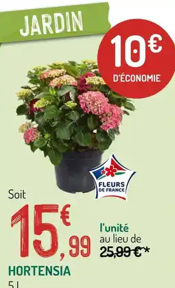 Botanic FLEURS DE FRANCE HORTENSIA offre