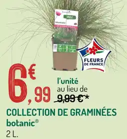Botanic botanic COLLECTION DE GRAMINÉES offre