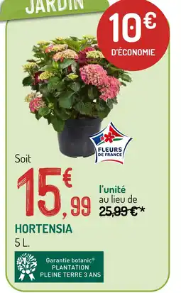 Botanic Hortensia offre