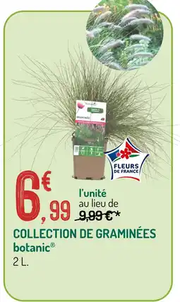 Botanic Botanic collection de graminées offre