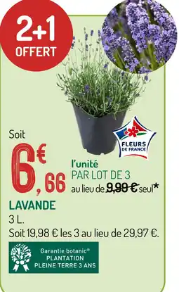 Botanic Lavande offre