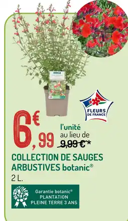 Botanic Collection de sauges arbustives offre