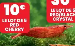 Animalis Le lot de 5 red cherry offre