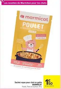 Carrefour Drive Sachet repas pour chat en gelée offre